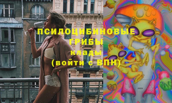 гашик Володарск
