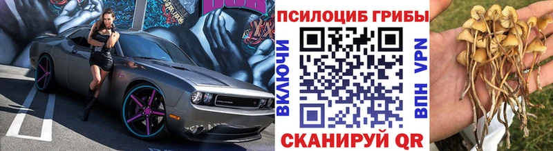 Галлюциногенные грибы ЛСД  как найти наркотики  Меленки 