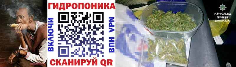 Марихуана сатива Меленки